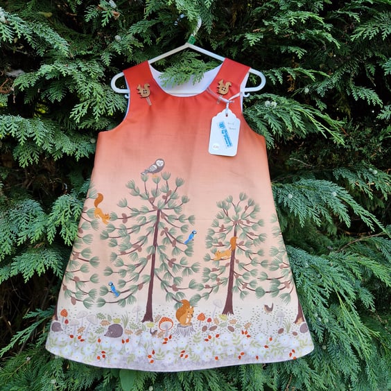 Age: 4-5yr Owl and Squirrel Graduated Apricot Dress