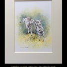Spring Lambs . Chipping Campden . The Cotswolds. Watercolour painting 