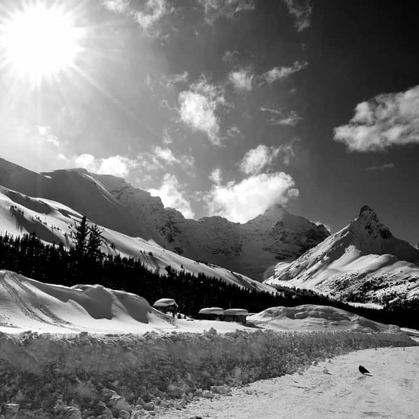 Canadian Rocky Mountains Icefields Parkway Canada Photograph Print