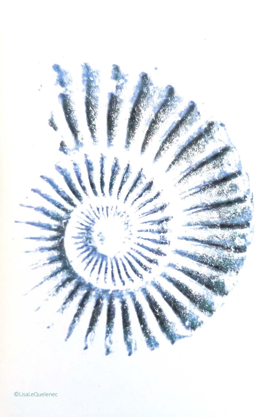 Blank art greeting card ammonite spiral note card notelet cellophane free