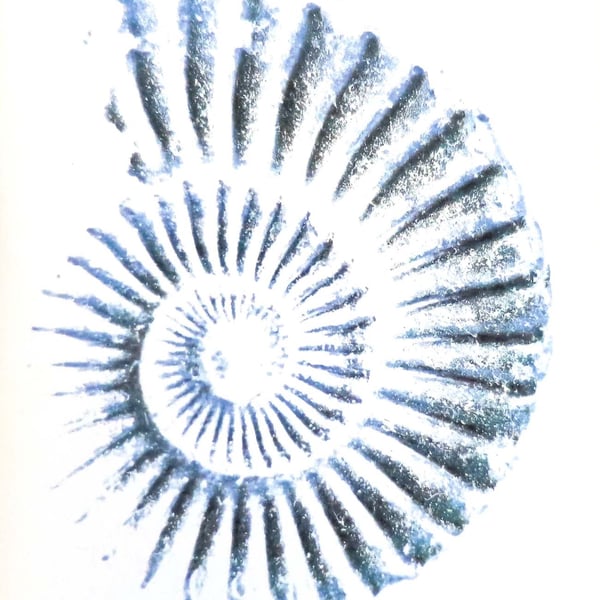 Blank art greeting card ammonite spiral note card notelet cellophane free