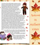 Forest Green Socks  - Image 2