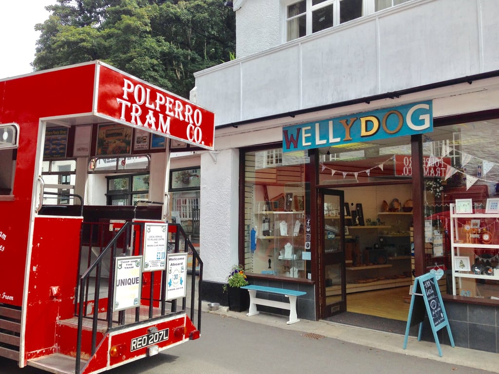 Wellydog