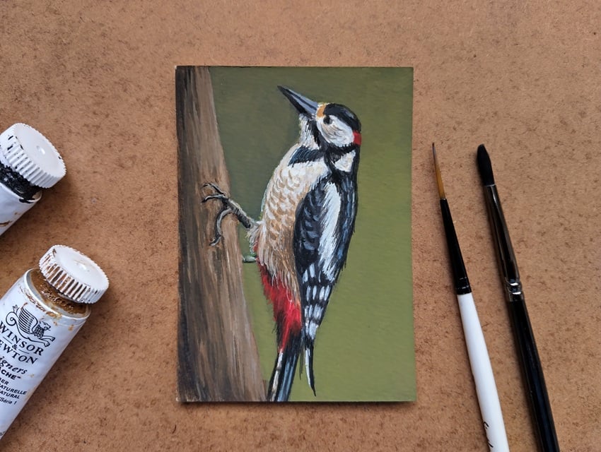 ACEO Original artwork of a Woodpecker