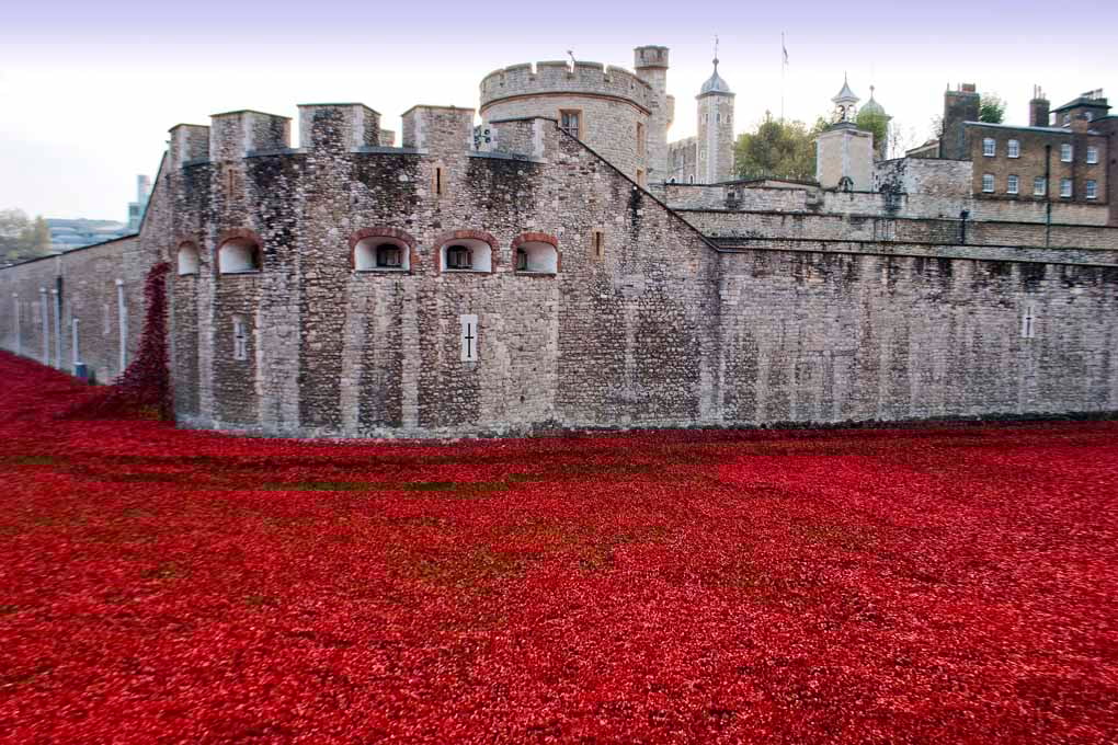 Tower Of London Poppies Red Poppy Photograph Print