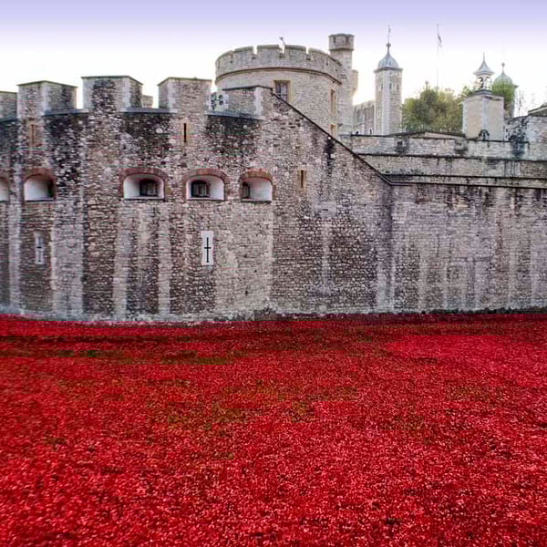 Tower Of London Poppies Red Poppy Photograph Print