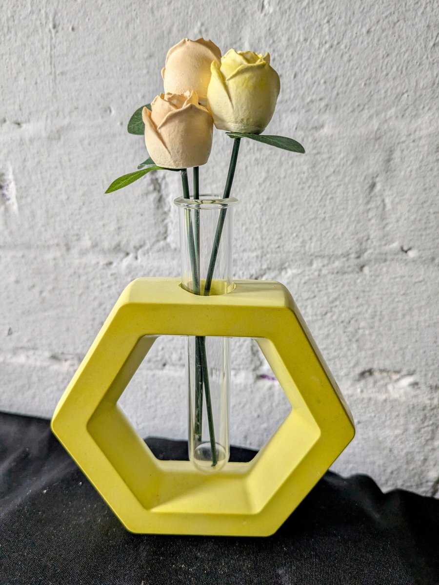 Hexagon Propagation with Roses