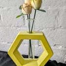 Hexagon Propagation with Roses