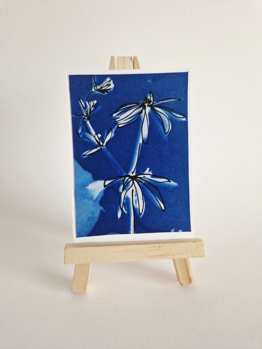 ACEO OOAK original cyanotype Cornish Hedgerow No.1
