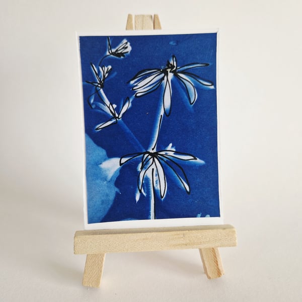 ACEO OOAK original cyanotype Cornish Hedgerow No.1