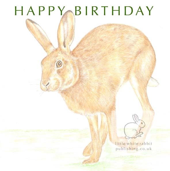 Running Hare - Birthday Card