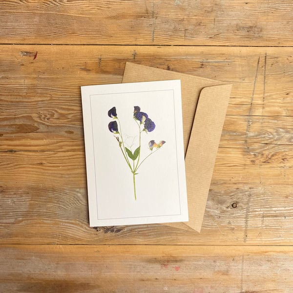 Sweet pea (thank you) card