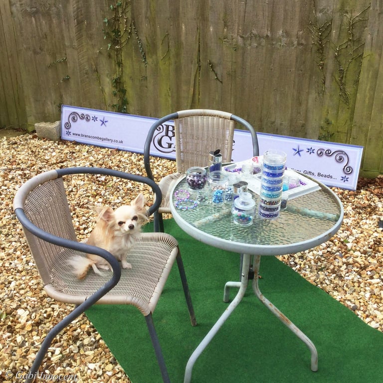 A Sprinkle of Pixie Dust