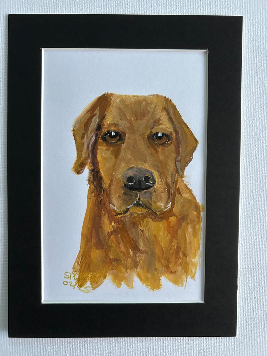 Original painting Labrador 5x7" portrait 
