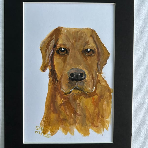 Original painting Labrador 5x7" portrait 
