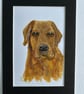 Original painting Labrador 5x7" portrait  - Image 1