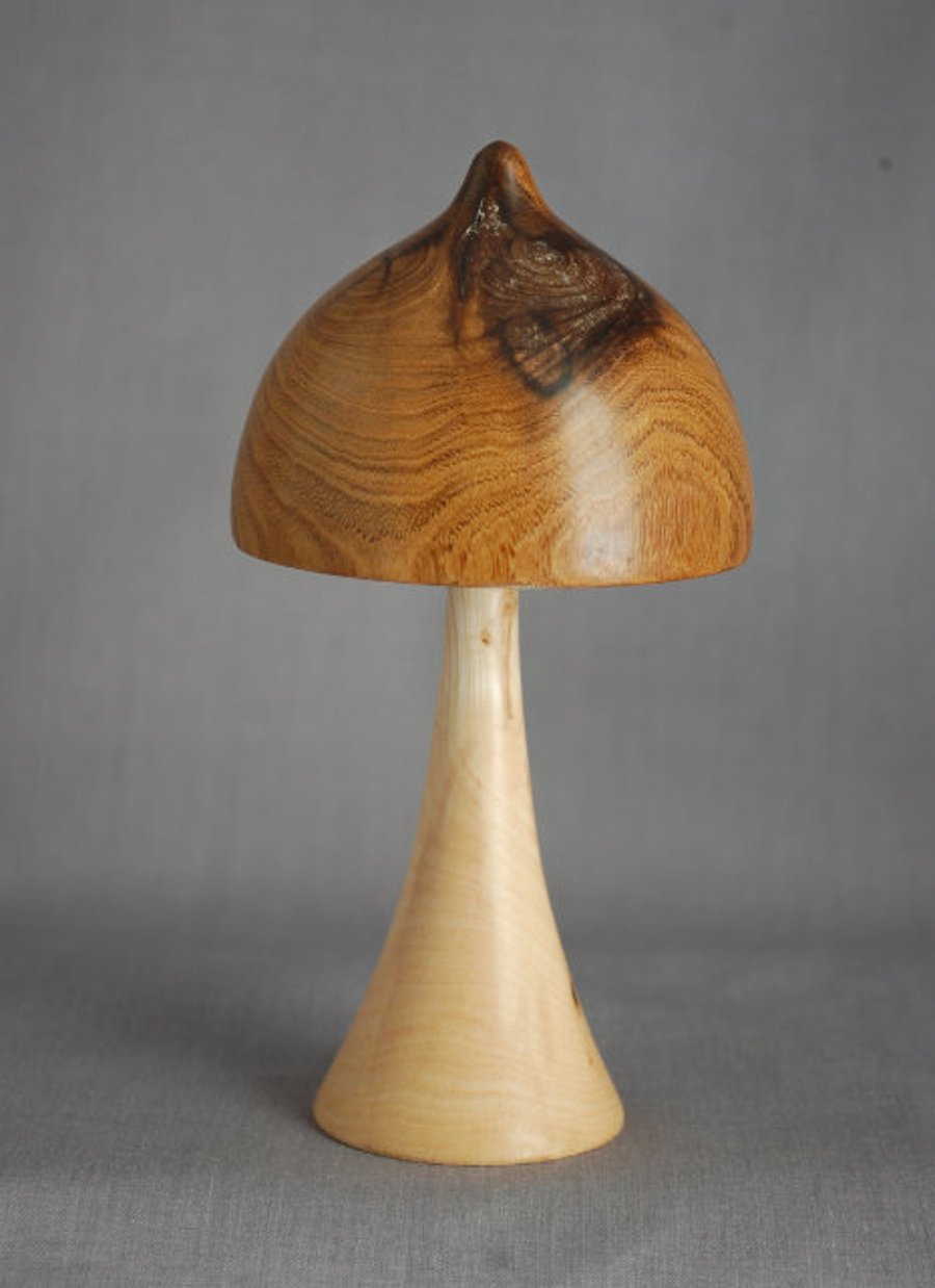 Mushroom in Laburnum