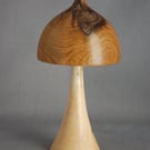 Mushroom in Laburnum