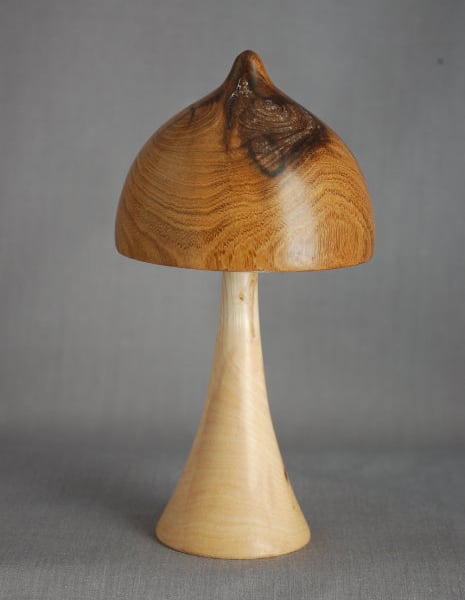 Mushroom in Laburnum