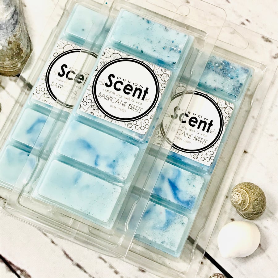 Barricane Breeze Snap Bar Wax Melts