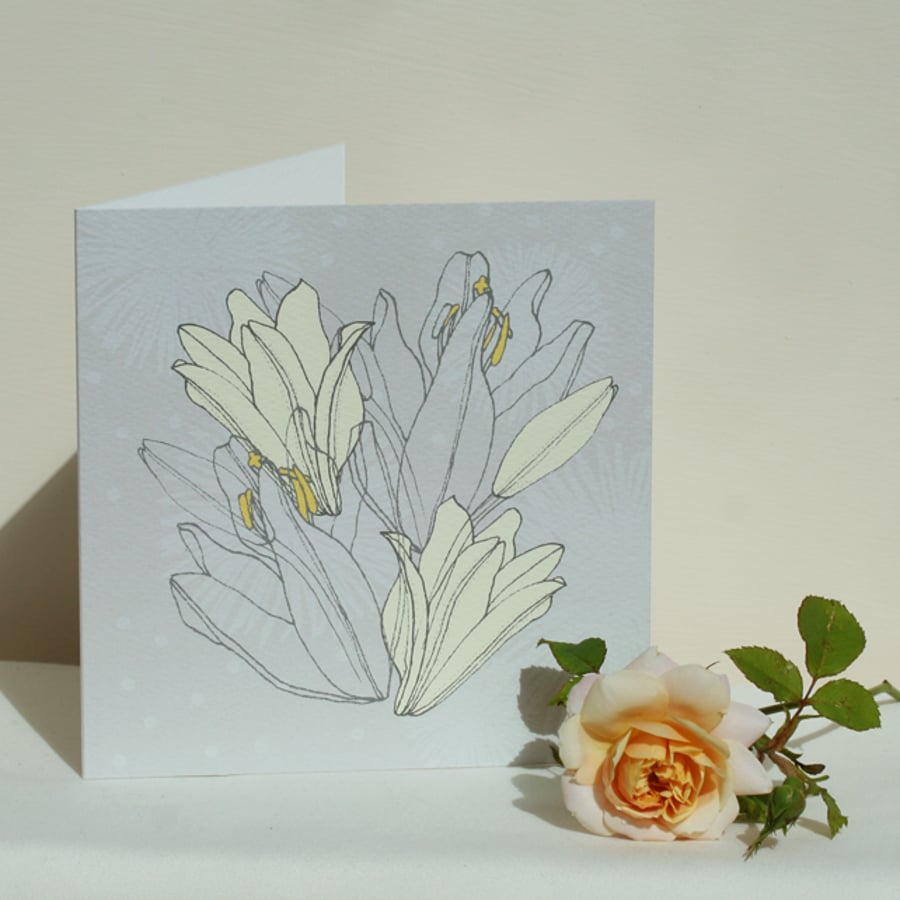 Ivory lilies (set of 5 cards)