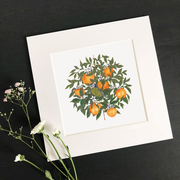 'Orange Blossom' 8" x 8" Mounted Print