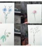 Set of 18 Coloured Wildflower Sketches - Image 4