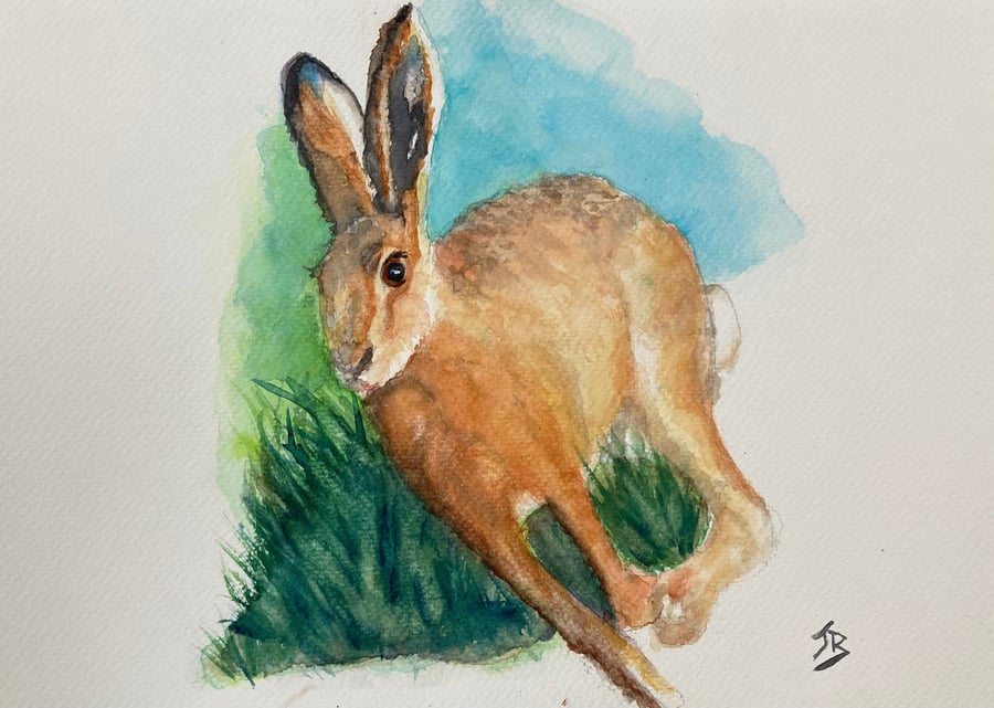 Top quality giclee print of 'Haring Around a painting by artist Janet Bird