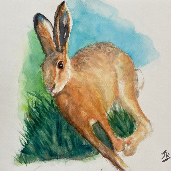 Top quality giclee print of 'Haring Around a painting by artist Janet Bird