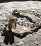 Sterling Silver Flower Ring with 18ct Yellow Gold Accent - Image 4
