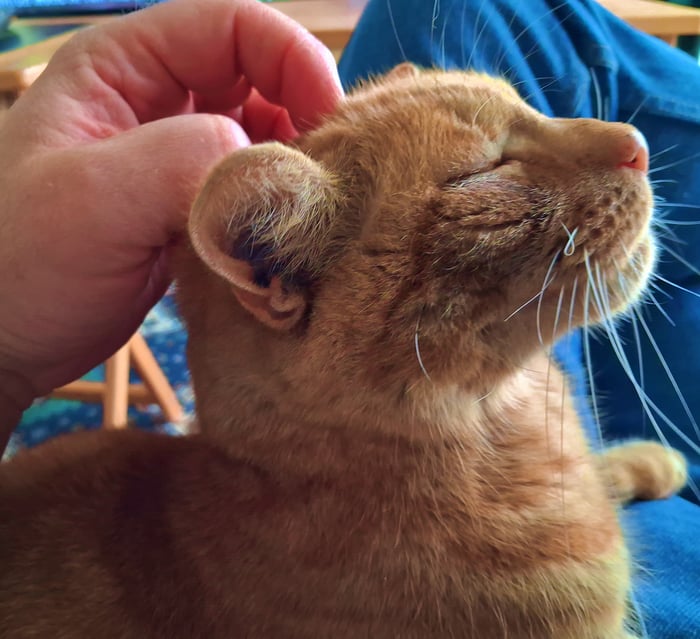 Small Blue Planet Crafts