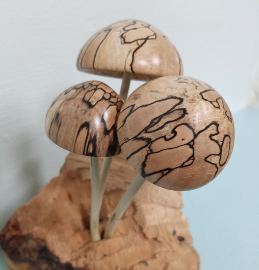 Toadstool Sculpture on Sycamore