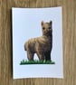 A6 Animal Post Card (White Background) - Image 2