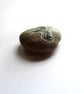 Hand Painted Raven Pebble - MADE TO ORDER - Image 10