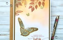 BIRTHDAY CARDS - AGE AND GENERAL 