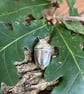 Solid silver acorn pendant - Image 1