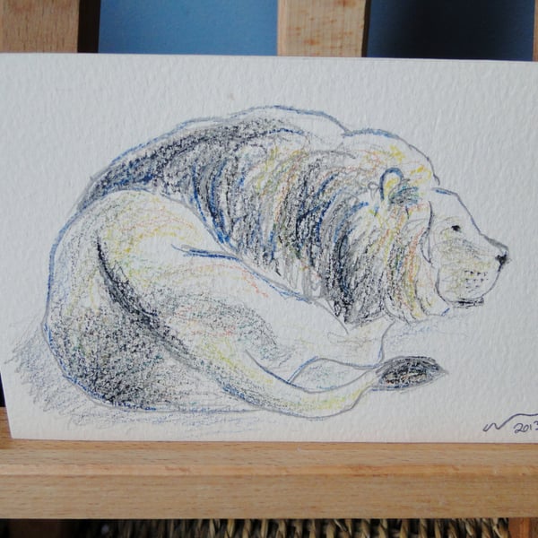 OSWOA Sleepy Lion Sketch Original Pencil Drawing 4x6 OOAK Art