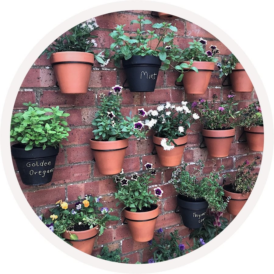 Pot Ups Plant Pot Hanger Rings Pack of 6 Black Rings to fit 6"15cm Plant Pots