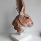 Ceramic hare head sketch sculpture. 