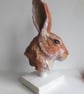 Ceramic hare head sketch sculpture. 