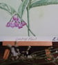 Comfrey Plant Watercolour Print A5 - Image 2