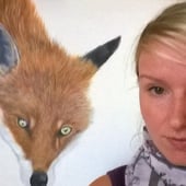 Heidi Farrar Fine Art