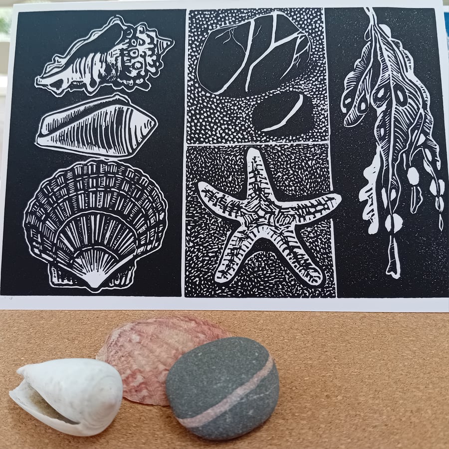 Coastal Lino print Beach finds shells pebbles starfish