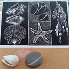 Coastal Lino print Beach finds shells pebbles starfish