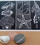 Coastal Lino print Beach finds shells pebbles starfish - Image 1