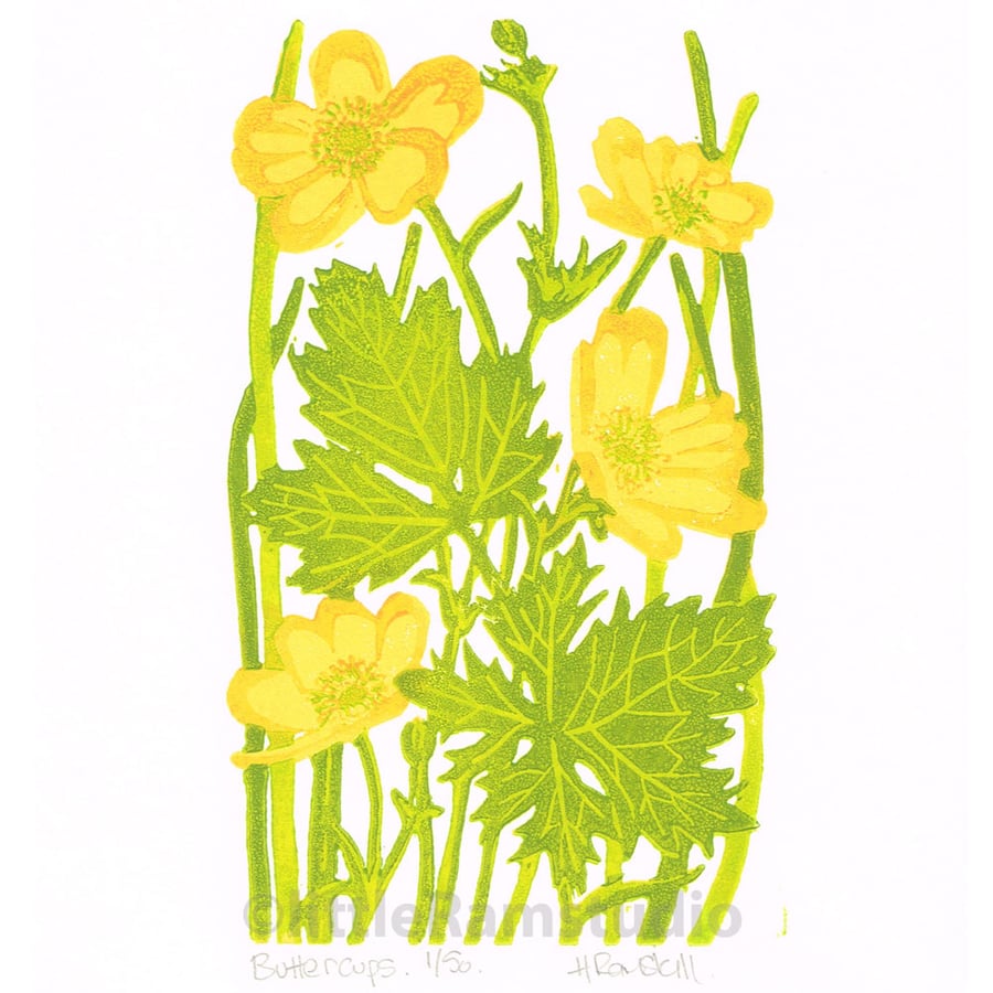 Buttercups - Limited edition Linocut Print