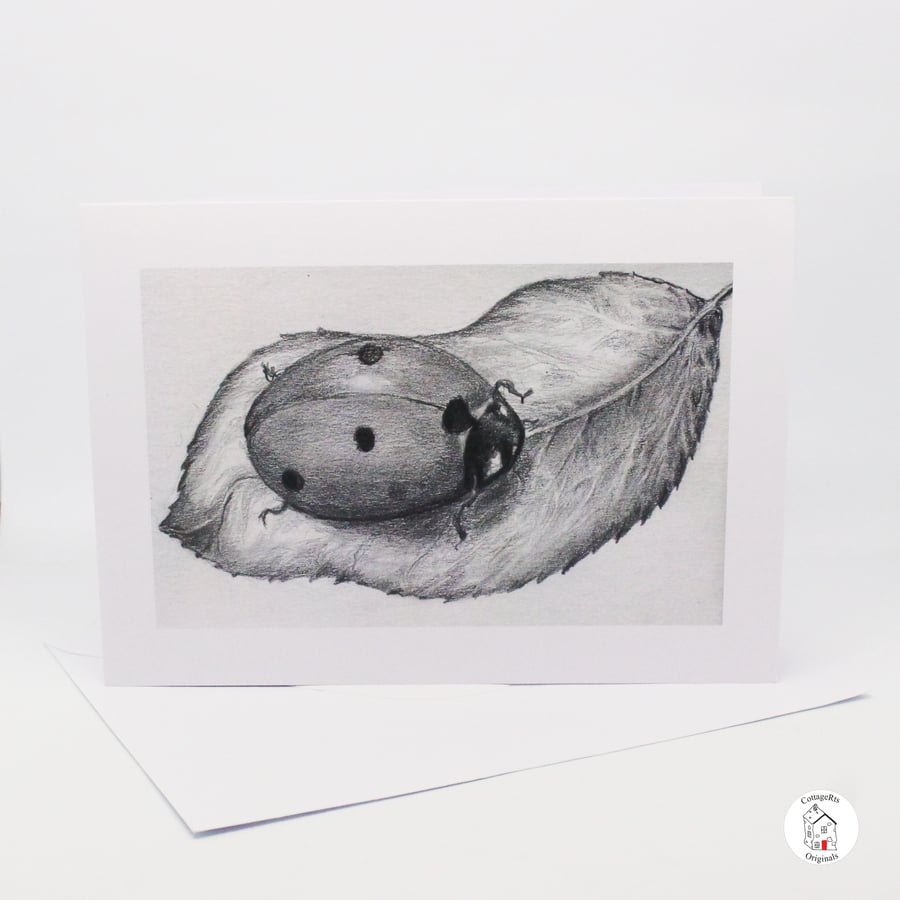 Ladybird Greeting Card Featuring Print of Original Graphite Pencil Drawing