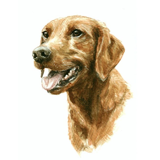 Custom A6 Pet Portrait WATERCOLOUR PAINTING