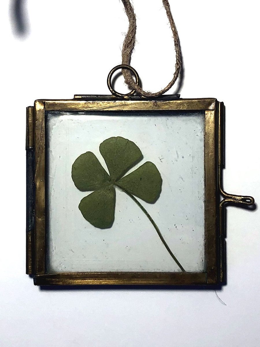 Pressed Four Leaf Clover Framed Hanging, Good Luck Gift, Best Friends Gift Idea,