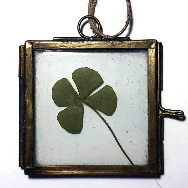 Pressed Four Leaf Clover Framed Hanging, Good Luck Gift, Best Friends Gift Idea,